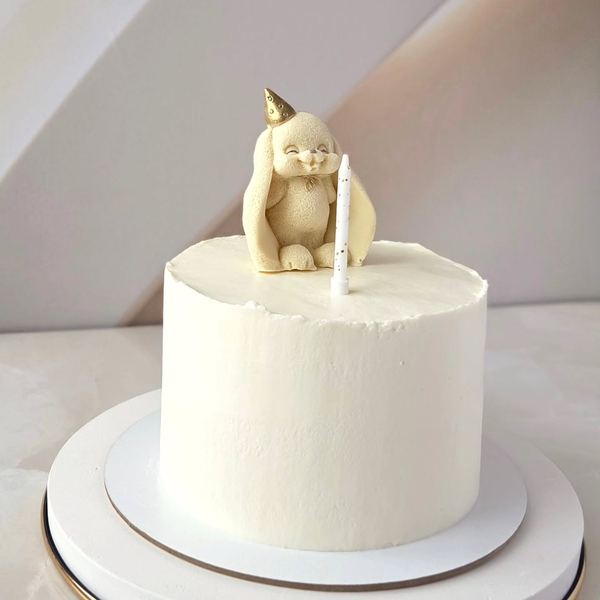 Baby cake 🎂